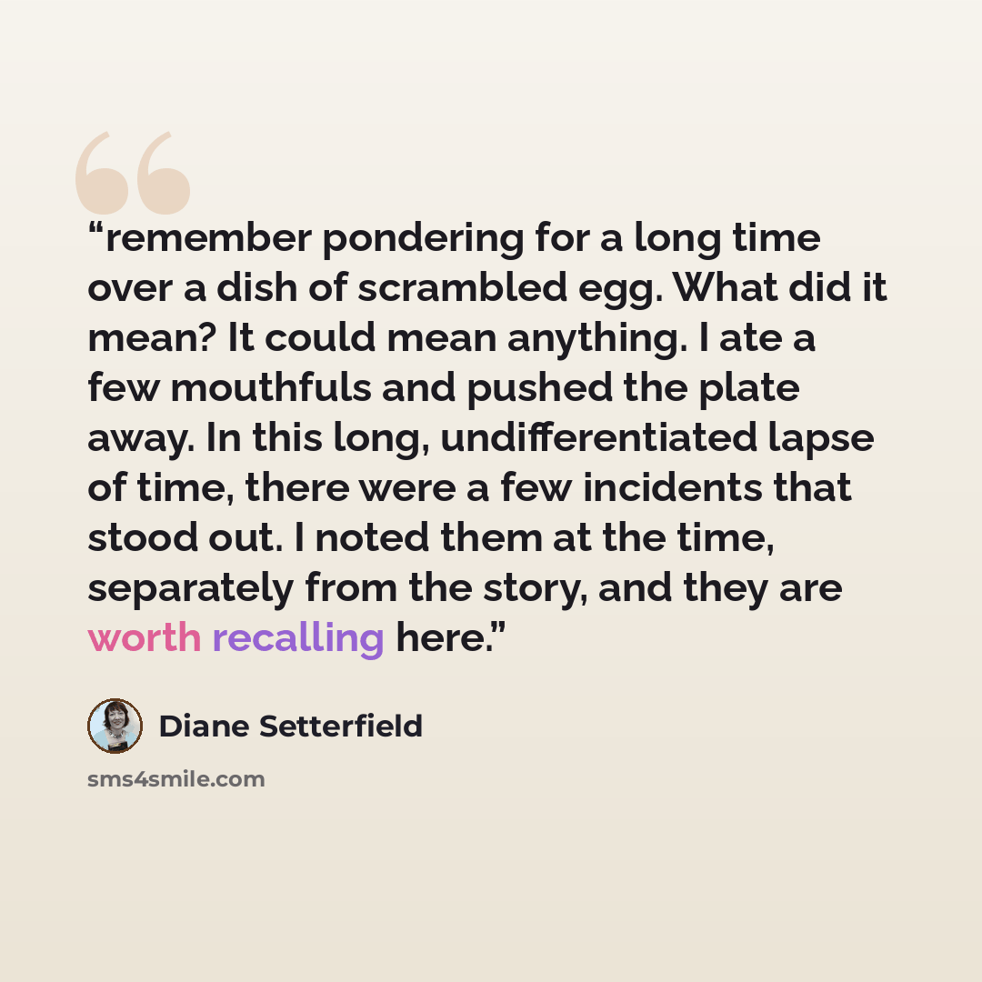 “remember pondering for a long time over a dish of scrambled egg. What did it mean? It could mean anything. I ate a few mouthfuls and pushed the plate away. In this long, undifferentiated lapse of time, there were a few incidents that stood out. I noted them at the time, separately from the story…” quote by Diane Setterfield