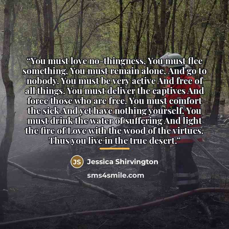 “You must love no-thingness, You must flee something, You must remain alone, And go to nobody. You must be very active And free of all things. You must deliver the captives And force those who are free. You must comfort the sick And yet have nothing yourself. You must drink the water of suffering…” quote by Jessica Shirvington