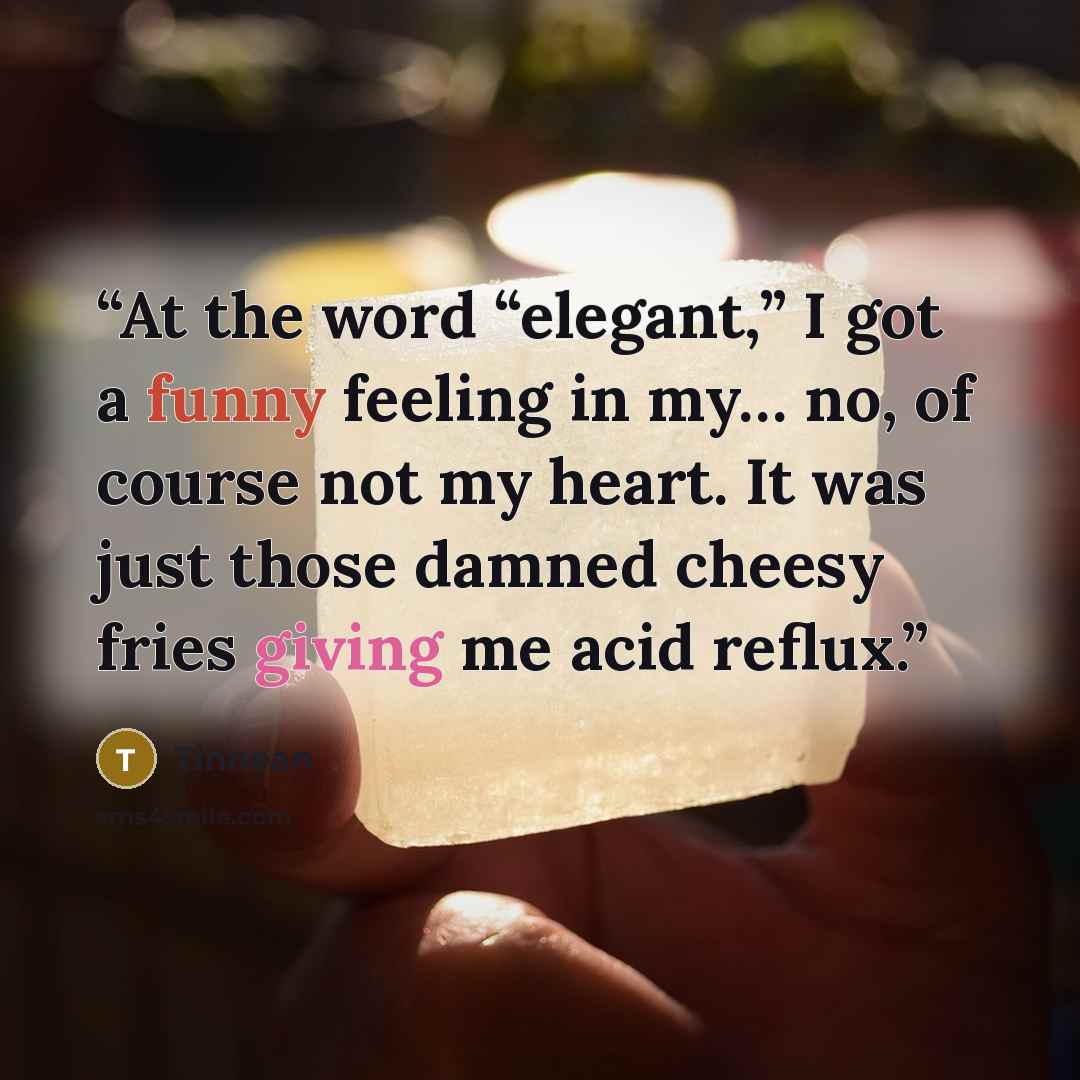 “At the word “elegant,” I got a funny feeling in my… no, of course not my heart. It was just those damned cheesy fries giving me acid reflux.” quote by Tinnean