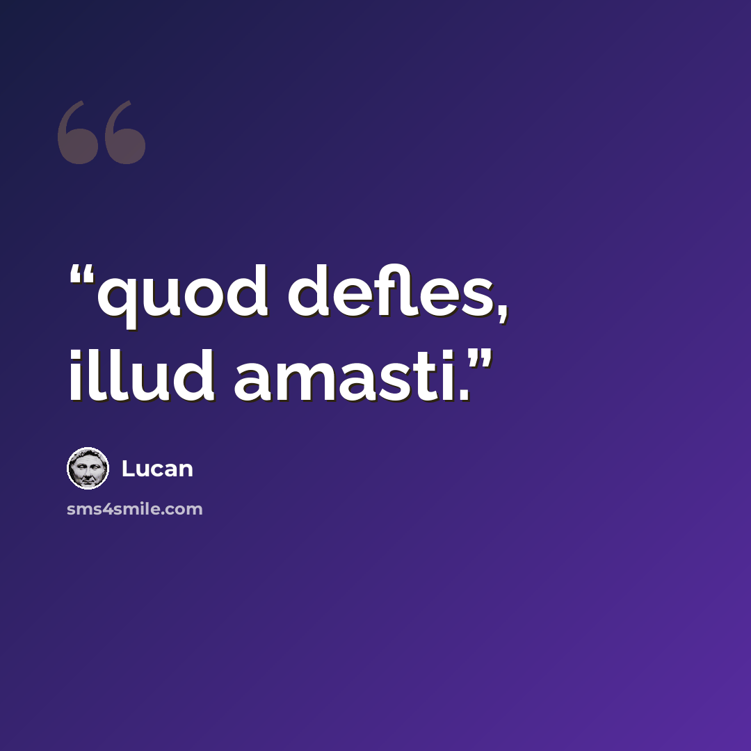 “quod defles, illud amasti.” quote by Lucan