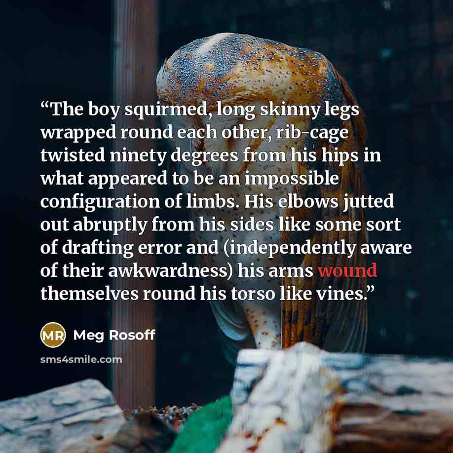 “The boy squirmed, long skinny legs wrapped round each other, rib-cage twisted ninety degrees from his hips in what appeared to be an impossible configuration of limbs. His elbows jutted out abruptly from his sides like some sort of drafting error and (independently aware of their awkwardness) his…” quote by Meg Rosoff