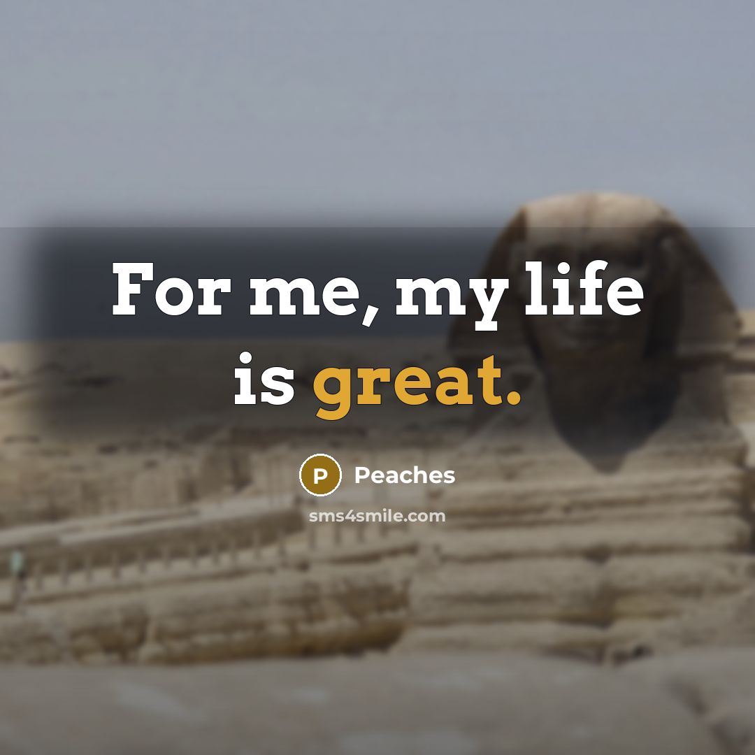 “For me, my life is great.” quote by Peaches