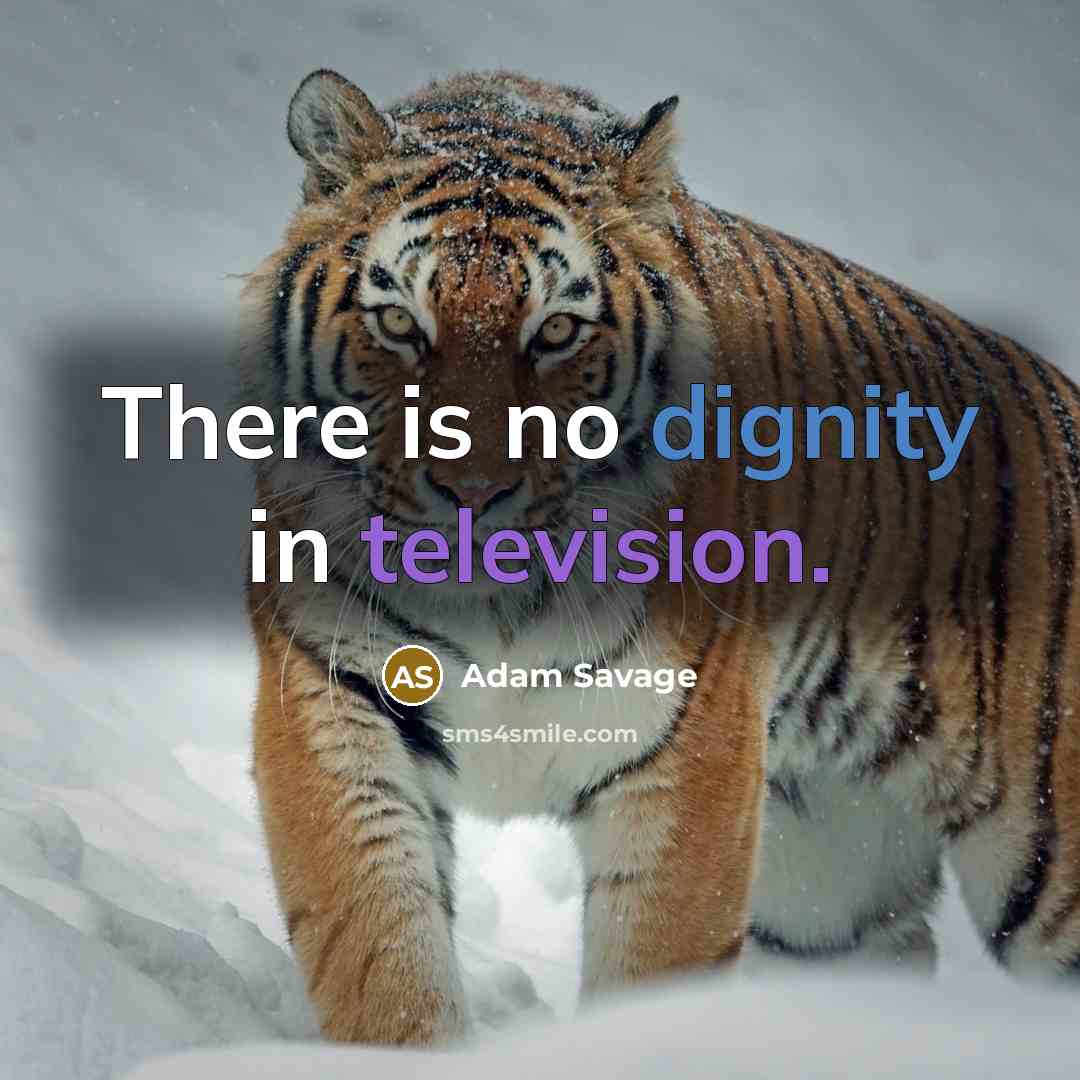 “There is no dignity in television.” quote by Adam Savage