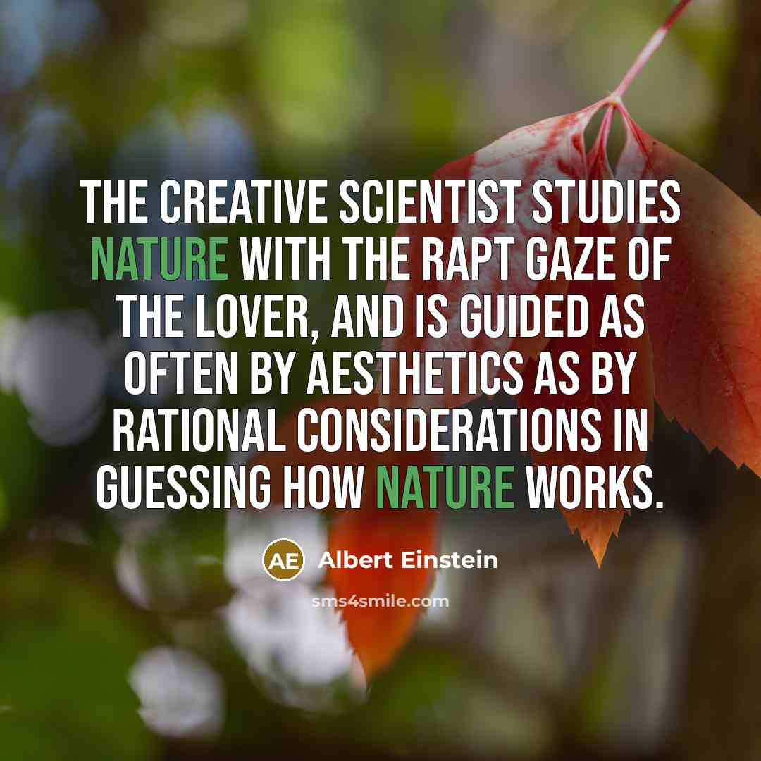 “The creative scientist studies nature with the rapt gaze of the lover, and is guided as often by aesthetics as by rational considerations in guessing how nature works.” quote by Albert Einstein