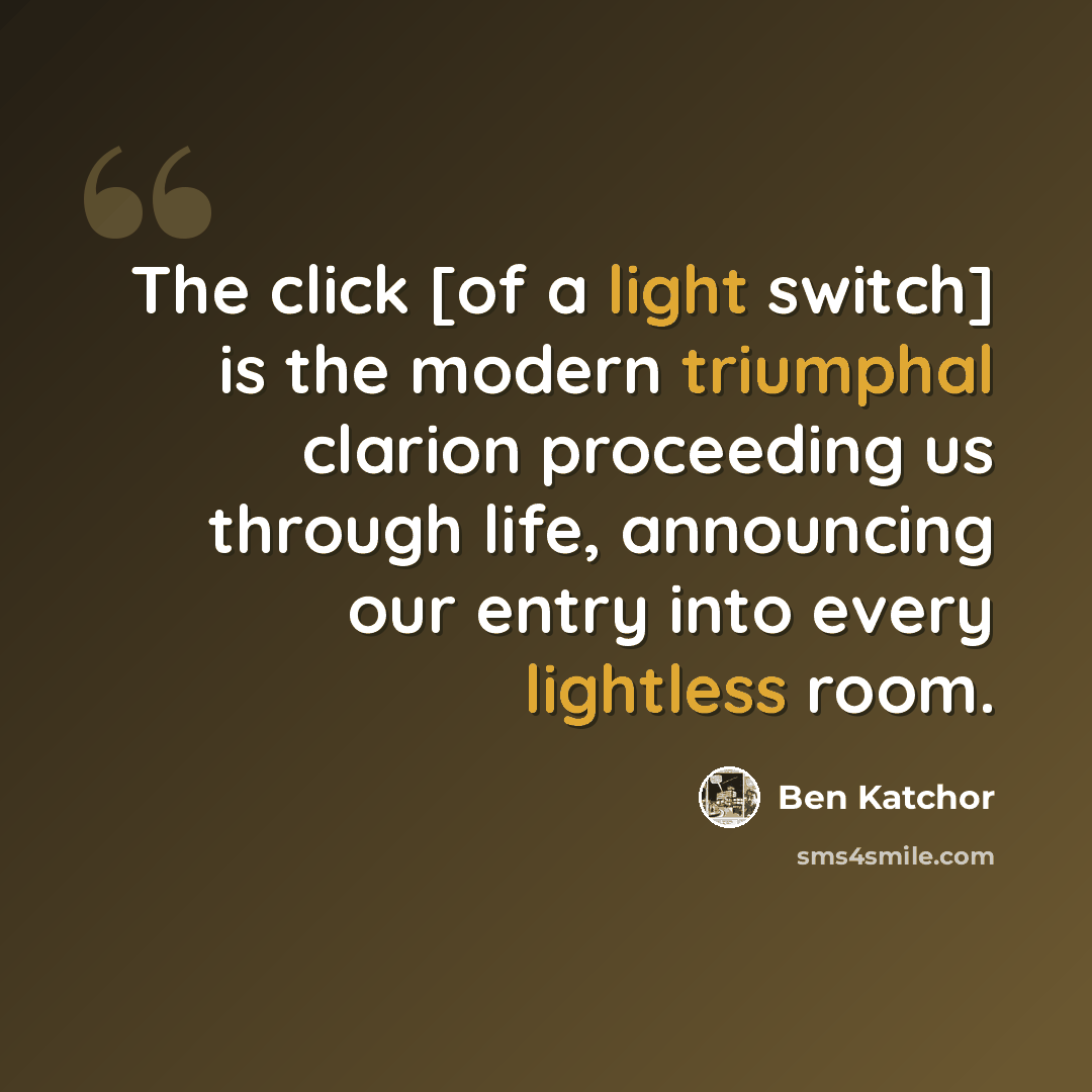 “The click [of a light switch] is the modern triumphal clarion proceeding us through life, announcing our entry into every lightless room.” quote by Ben Katchor