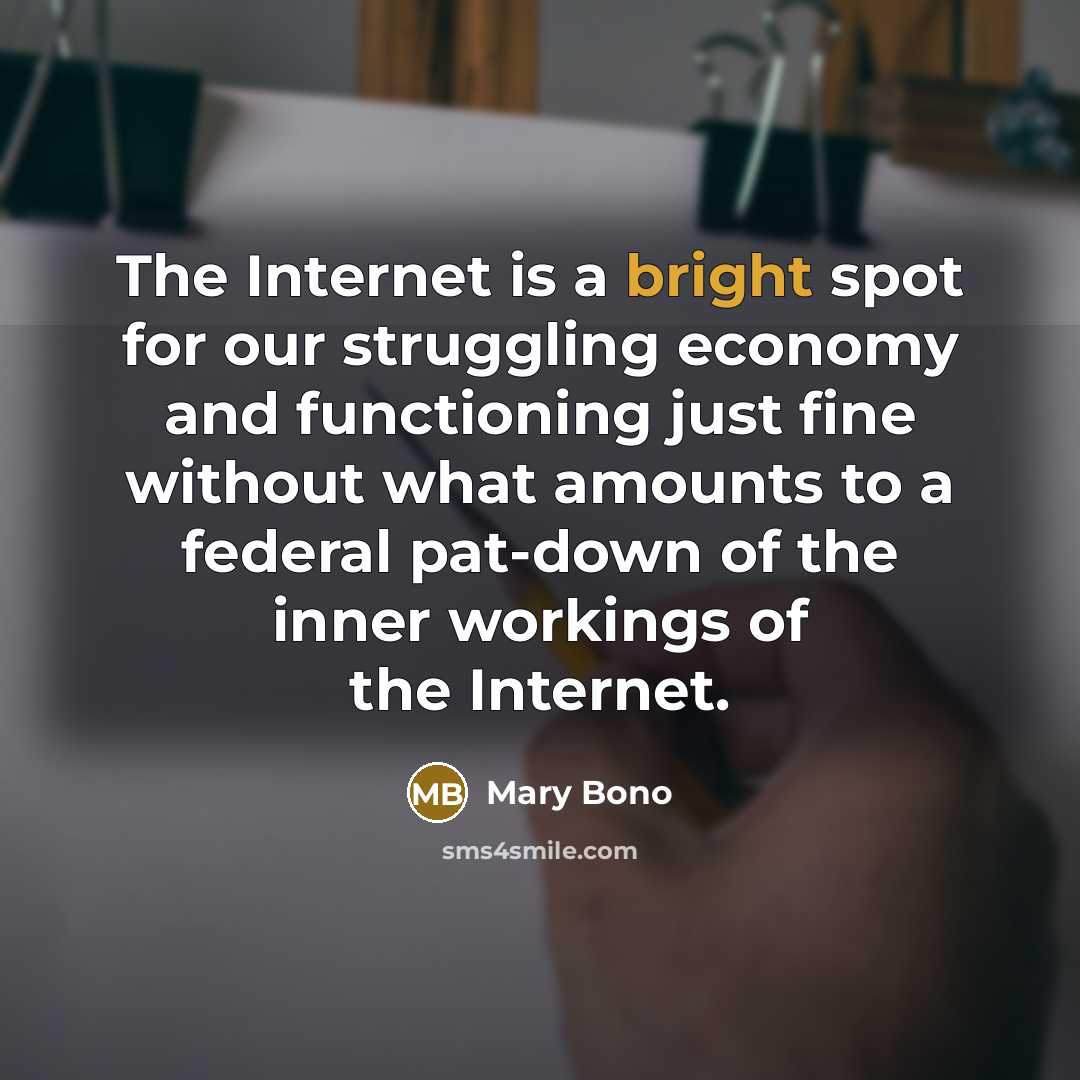 “The Internet is a bright spot for our struggling economy and functioning just fine without what amounts to a federal pat-down of the inner workings of the Internet.” quote by Mary Bono