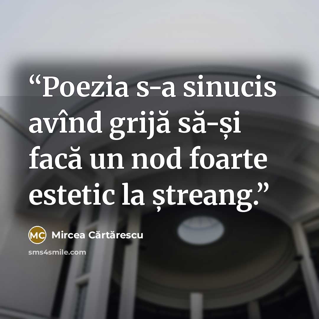 “Poezia s-a sinucis avînd grijă să-și facă un nod foarte estetic la ștreang.” quote by Mircea Cărtărescu