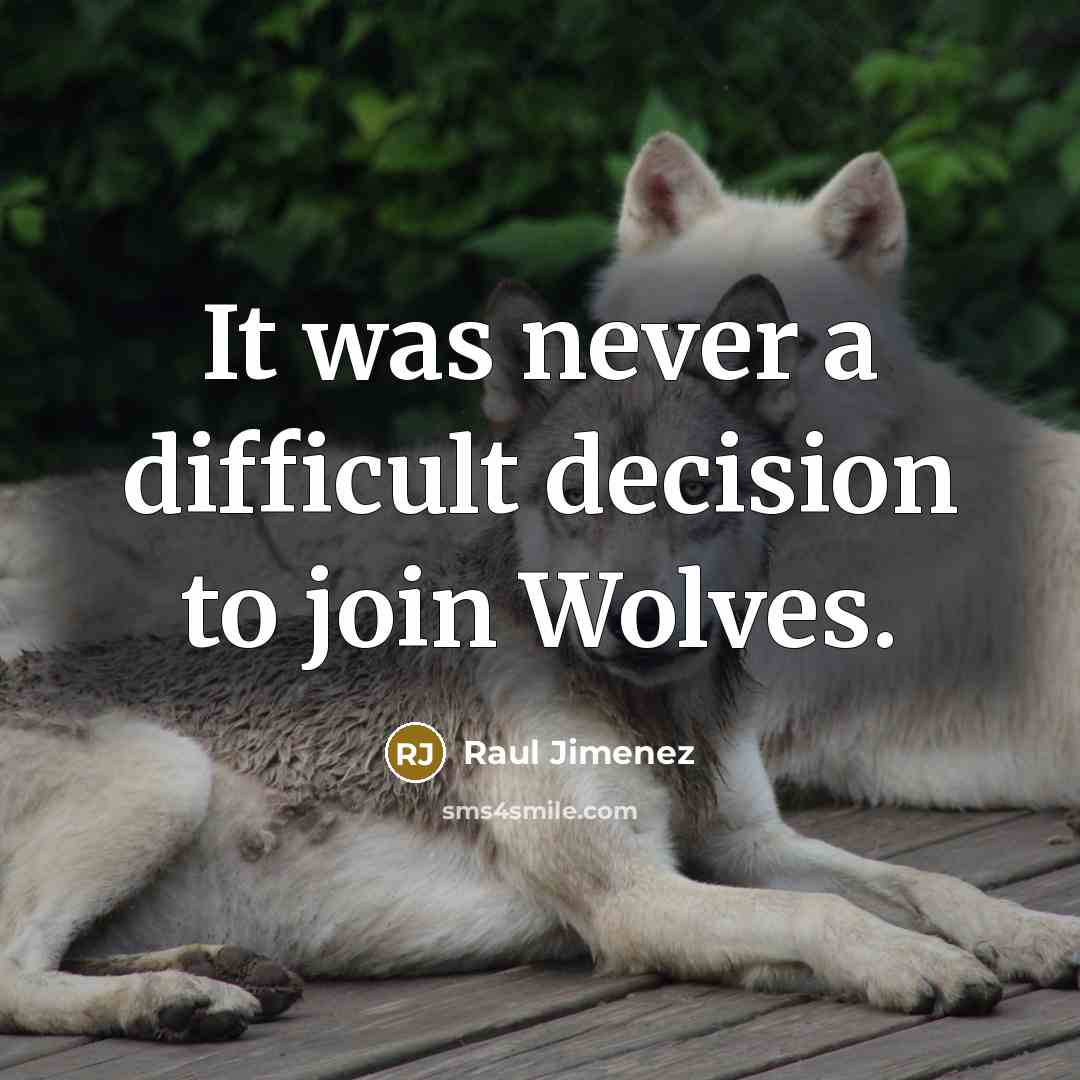 “It was never a difficult decision to join Wolves.” quote by Raul Jimenez