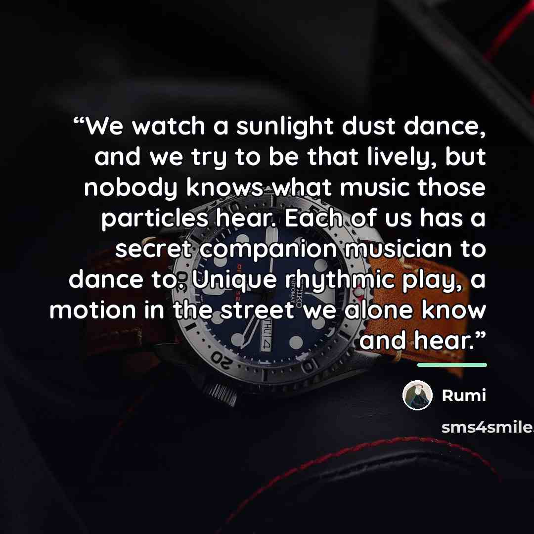 “We watch a sunlight dust dance, and we try to be that lively, but nobody knows what music those particles hear. Each of us has a secret companion musician to dance to. Unique rhythmic play, a motion in the street we alone know and hear.” quote by Rumi