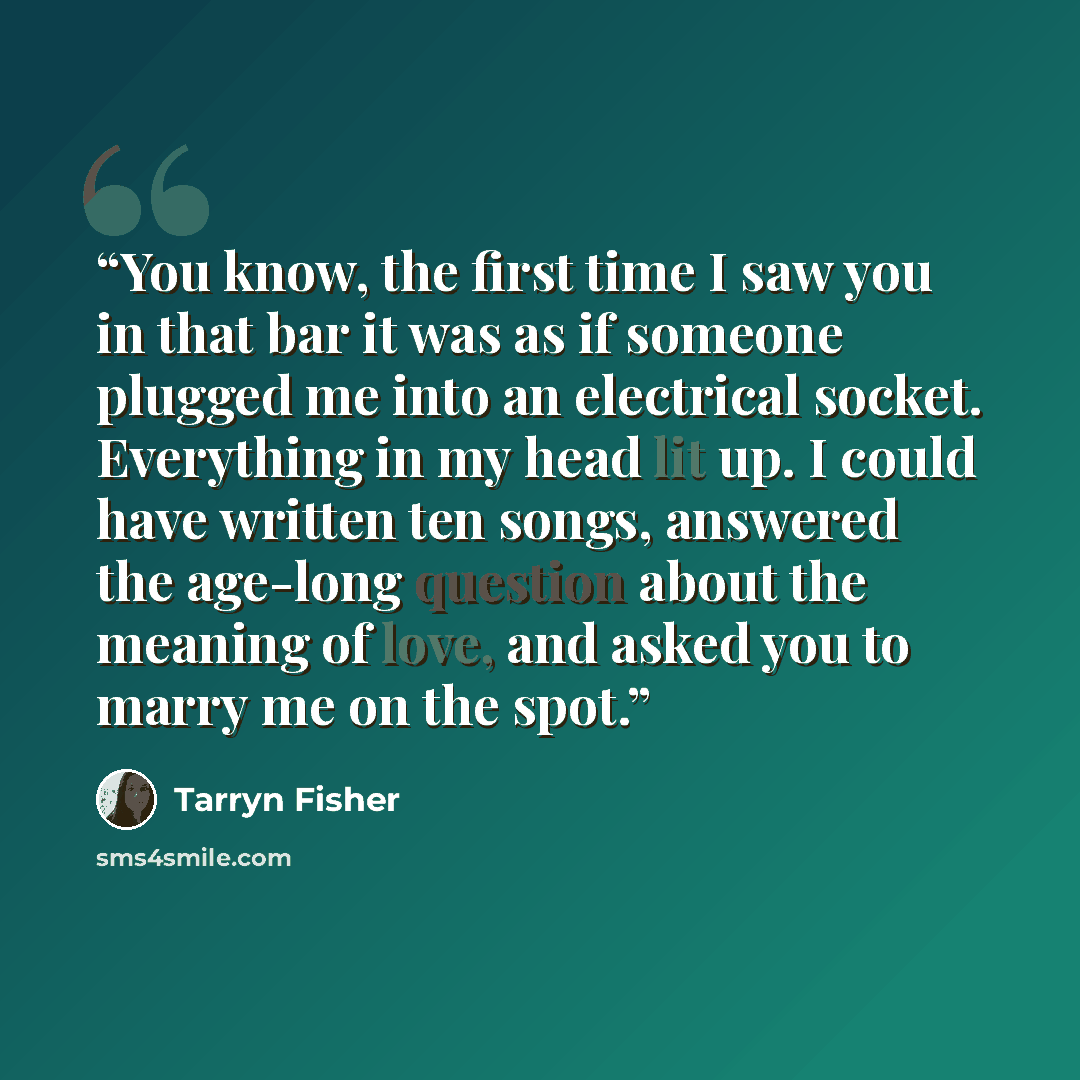 “You know, the first time I saw you in that bar it was as if someone plugged me into an electrical socket. Everything in my head lit up. I could have written ten songs, answered the age-long question about the meaning of love, and asked you to marry me on the spot.” quote by Tarryn Fisher