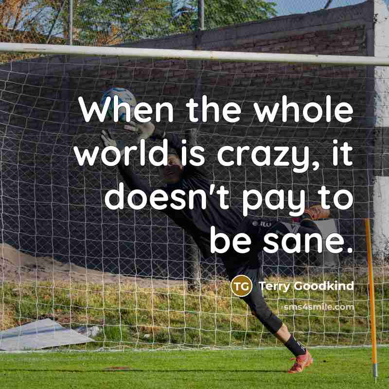 “When the whole world is crazy, it doesn't pay to be sane.” quote by Terry Goodkind