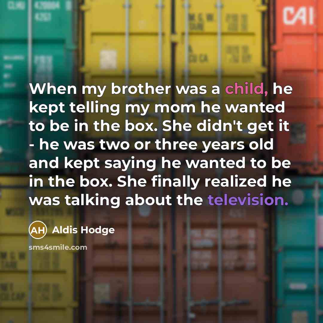 “When my brother was a child, he kept telling my mom he wanted to be in the box. She didn't get it - he was two or three years old and kept saying he wanted to be in the box. She finally realized he was talking about the television.” quote by Aldis Hodge