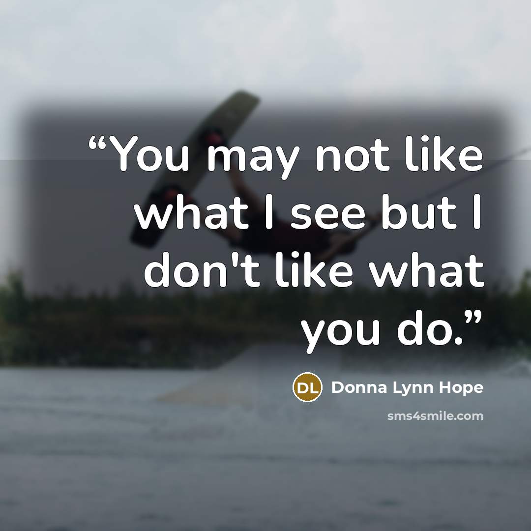 “You may not like what I see but I don't like what you do.” quote by Donna Lynn Hope
