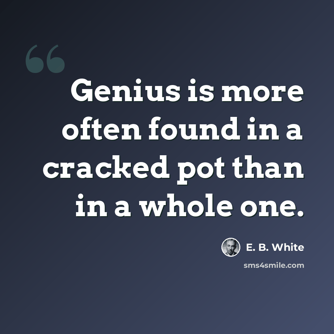 “Genius is more often found in a cracked pot than in a whole one.” quote by E. B. White