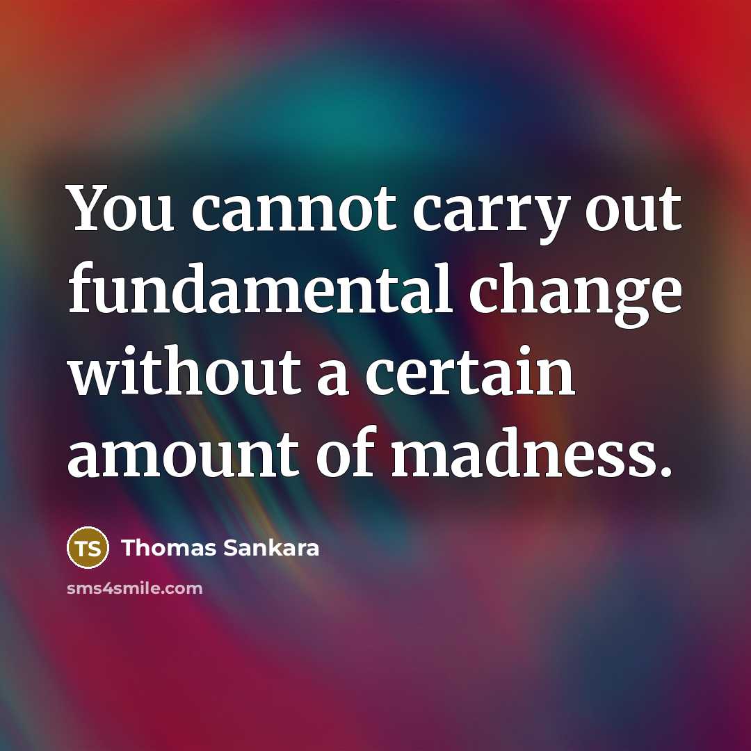 “You cannot carry out fundamental change without a certain amount of madness.” quote by Thomas Sankara