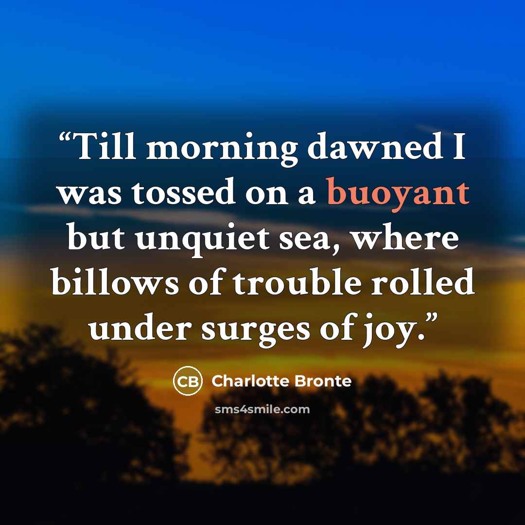 “Till morning dawned I was tossed on a buoyant but unquiet sea, where billows of trouble rolled under surges of joy.” quote by Charlotte Brontë