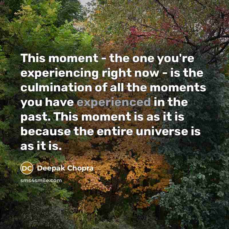 “This moment - the one you're experiencing right now - is the culmination of all the moments you have experienced in the past. This moment is as it is because the entire universe is as it is.” quote by Deepak Chopra
