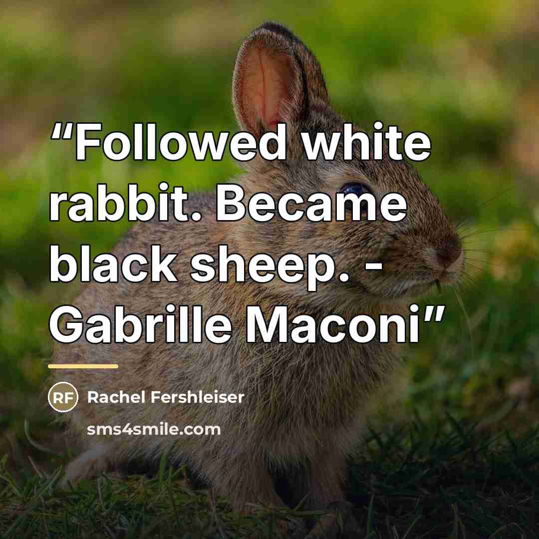 “Followed white rabbit. Became black sheep. - Gabrille Maconi” quote by Rachel Fershleiser
