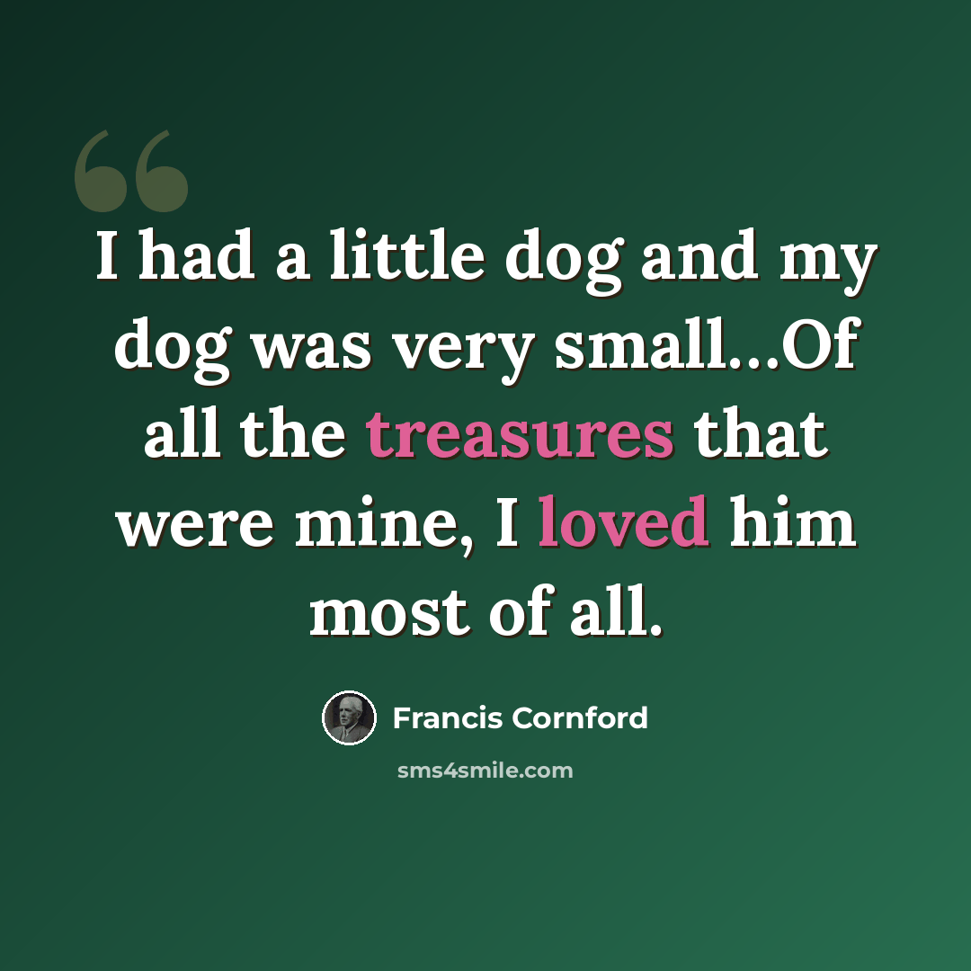 “I had a little dog and my dog was very small…Of all the treasures that were mine, I loved him most of all.” quote by Francis Cornford