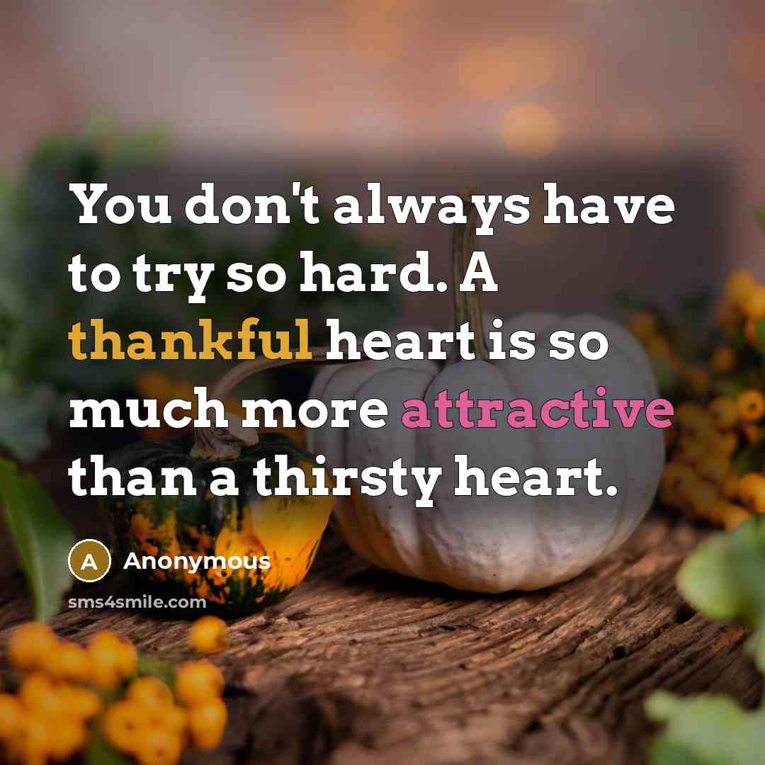 “You don't always have to try so hard. A thankful heart is so much more attractive than a thirsty heart.” quote by Anonymous