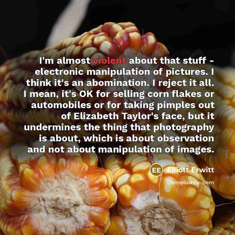 “I'm almost violent about that stuff - electronic manipulation of pictures. I think it's an abomination. I reject it all. I mean, it's OK for selling corn flakes or automobiles or for taking pimples out of Elizabeth Taylor's face, but it undermines the thing that photography is about, which is…” quote by Elliott Erwitt
