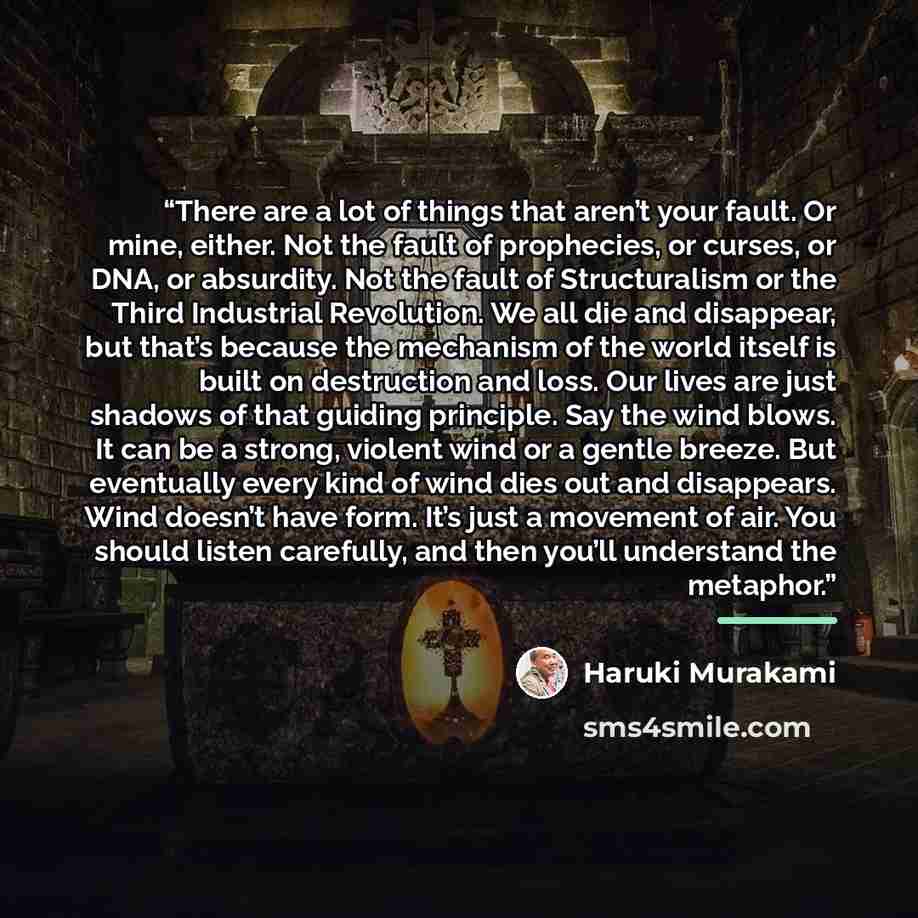 “There are a lot of things that aren’t your fault. Or mine, either. Not the fault of prophecies, or curses, or DNA, or absurdity. Not the fault of Structuralism or the Third Industrial Revolution. We all die and disappear, but that’s because the mechanism of the world itself is built on destruction…” quote by Haruki Murakami