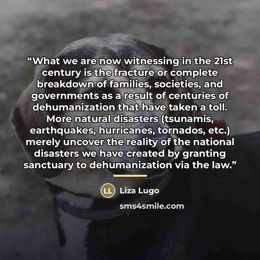 “What we are now witnessing in the 21st century is the fracture or complete breakdown of families, societies, and governments as a result of centuries of dehumanization that have taken a toll. More natural disasters (tsunamis, earthquakes, hurricanes, tornados, etc.) merely uncover the reality of…” quote by Liza Lugo
