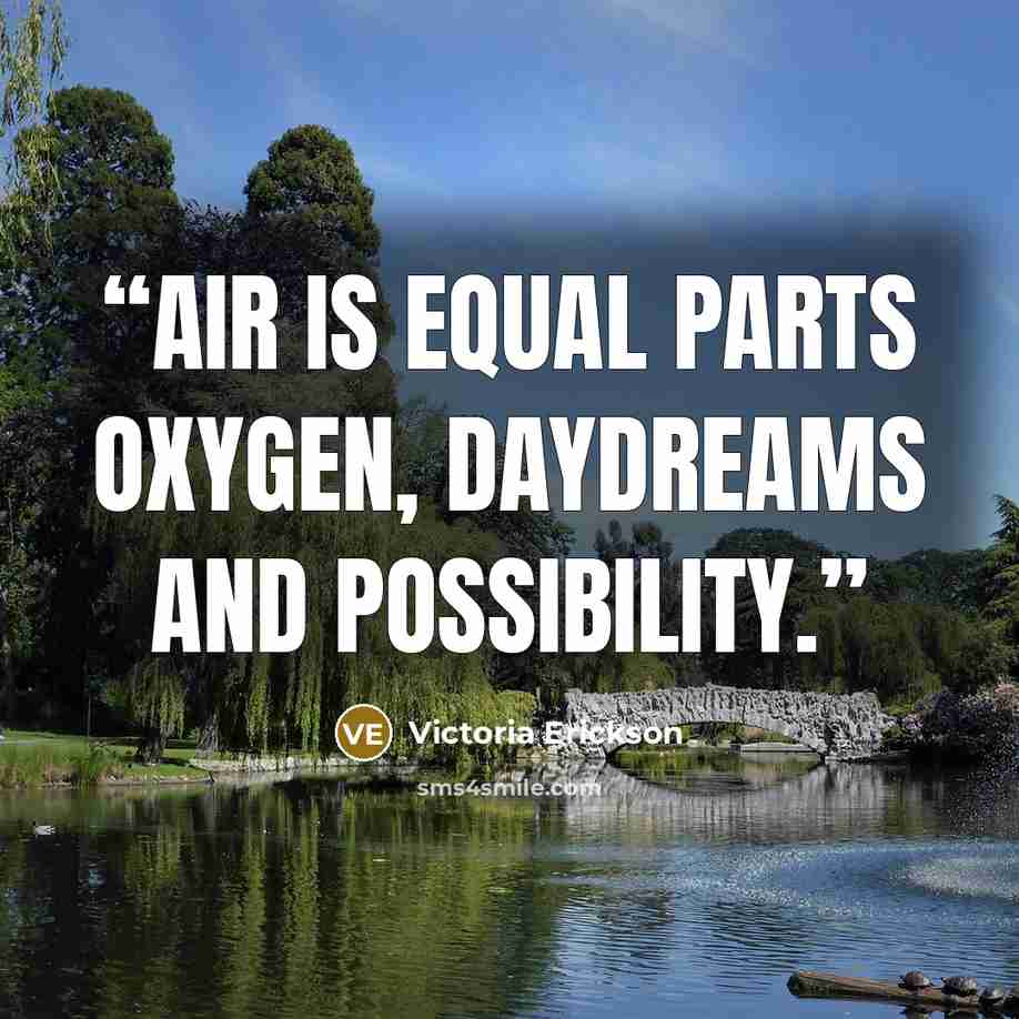 “Air is equal parts oxygen, daydreams And possibility.” quote by Victoria Erickson