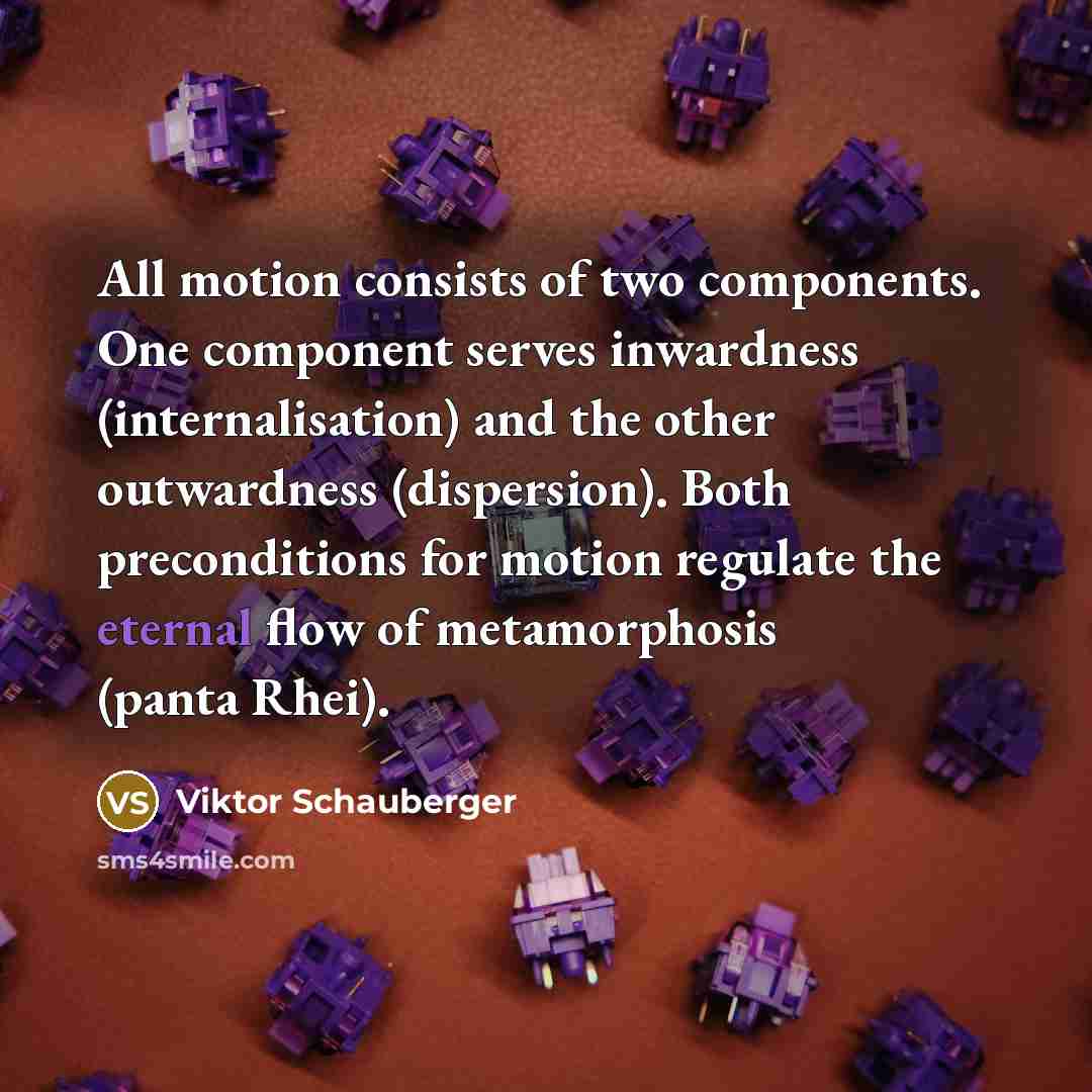 “All motion consists of two components. One component serves inwardness (internalisation) and the other outwardness (dispersion). Both preconditions for motion regulate the eternal flow of metamorphosis (panta Rhei).” quote by Viktor Schauberger