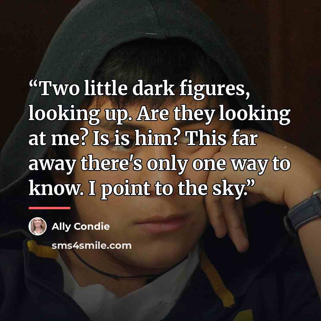 “Two little dark figures, looking up. Are they looking at me? Is is him? This far away there's only one way to know. I point to the sky.” quote by Ally Condie