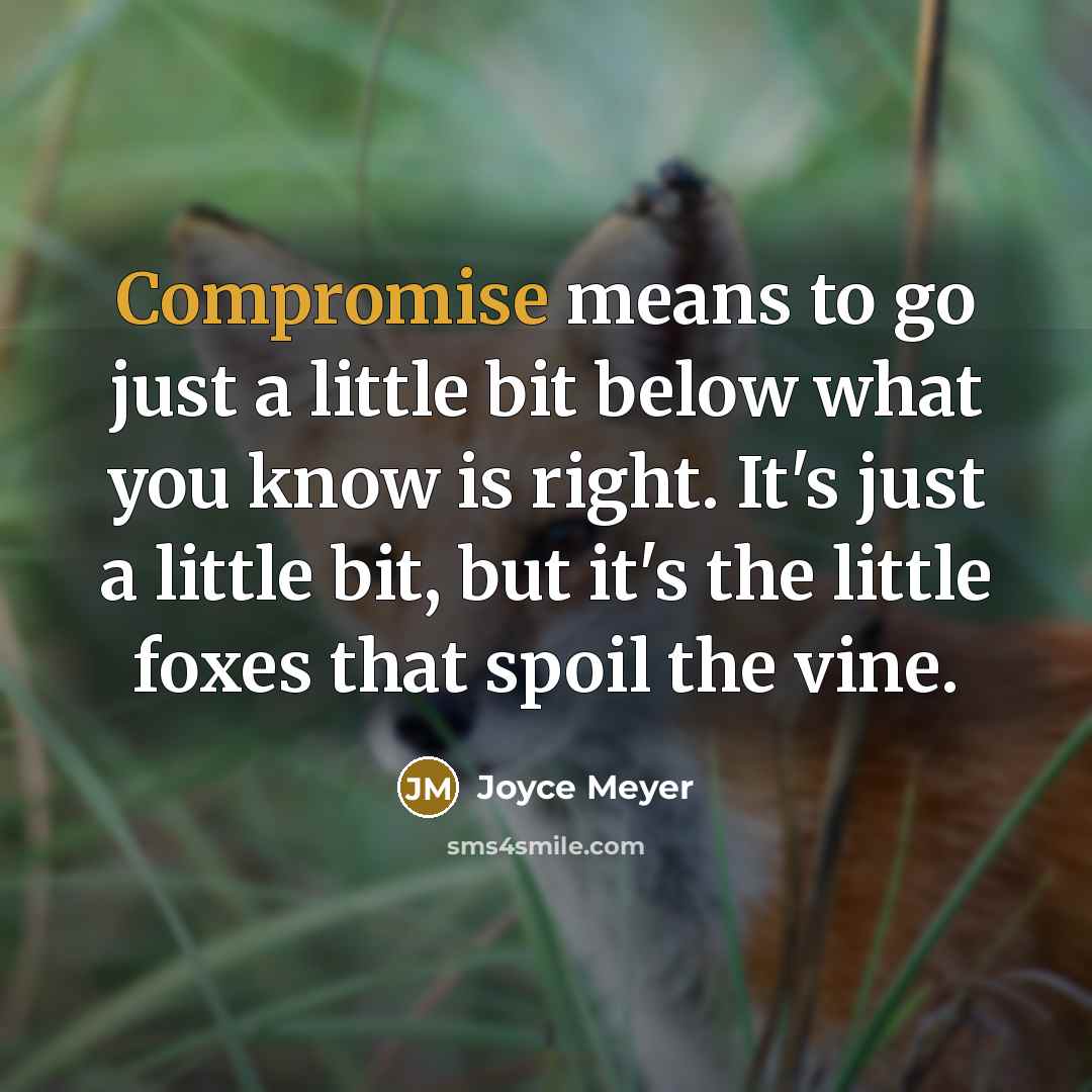 “Compromise means to go just a little bit below what you know is right. It's just a little bit, but it's the little foxes that spoil the vine.” quote by Joyce Meyer