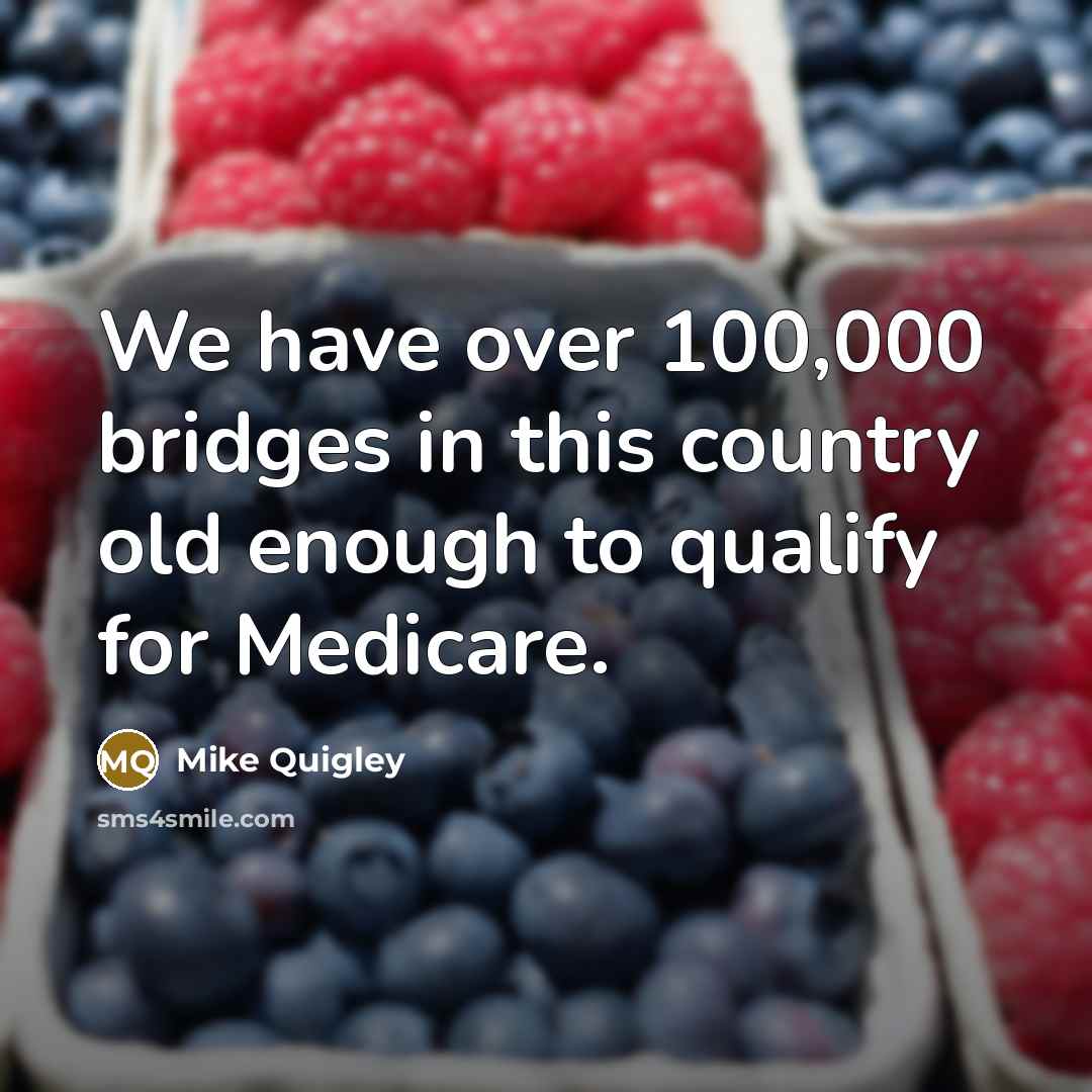 “We have over 100,000 bridges in this country old enough to qualify for Medicare.” quote by Mike Quigley