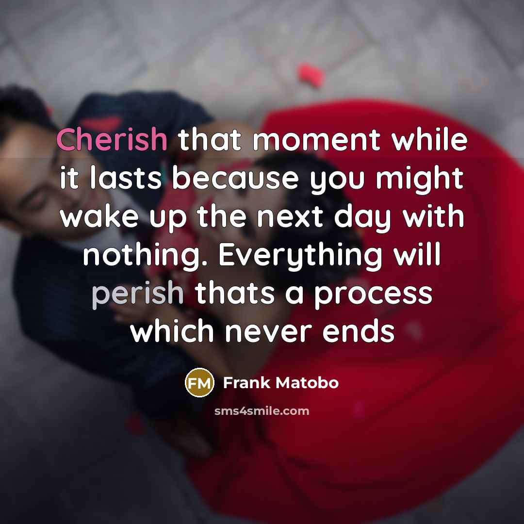 “Cherish that moment while it lasts because you might wake up the next day with nothing. Everything will perish thats a process which never ends” quote by Frank Matobo