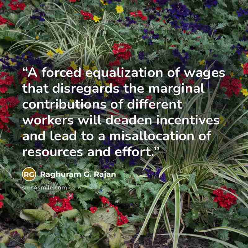 “A forced equalization of wages that disregards the marginal contributions of different workers will deaden incentives and lead to a misallocation of resources and effort.” quote by Raghuram G. Rajan