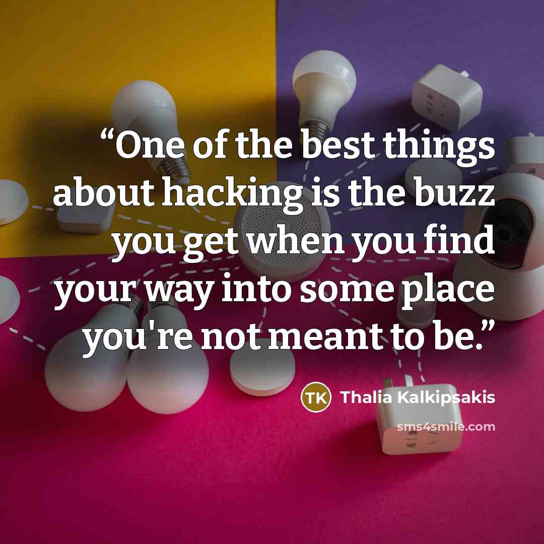 “One of the best things about hacking is the buzz you get when you find your way into some place you're not meant to be.” quote by Thalia Kalkipsakis
