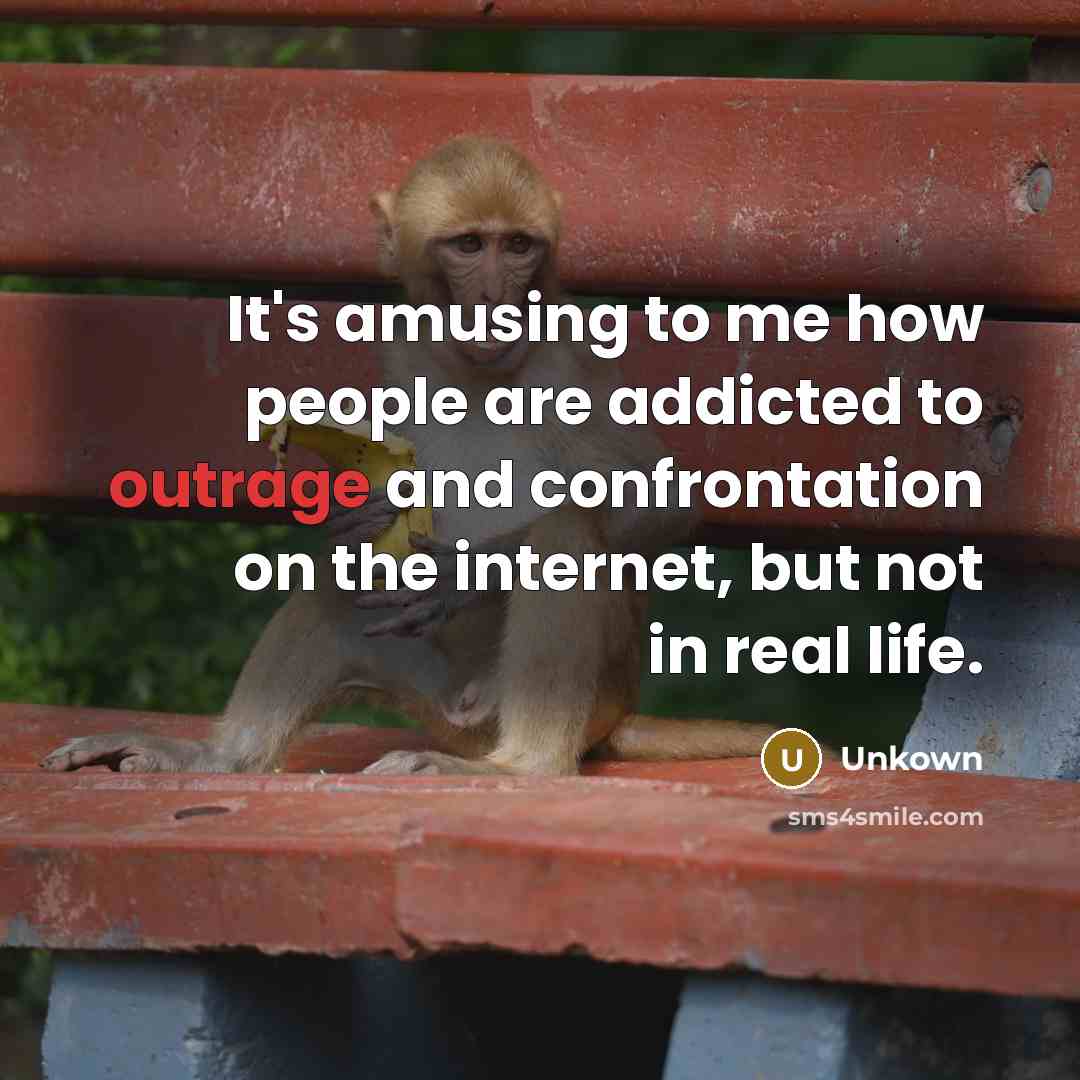 “It's amusing to me how people are addicted to outrage and confrontation on the internet, but not in real life.” quote by Unkown