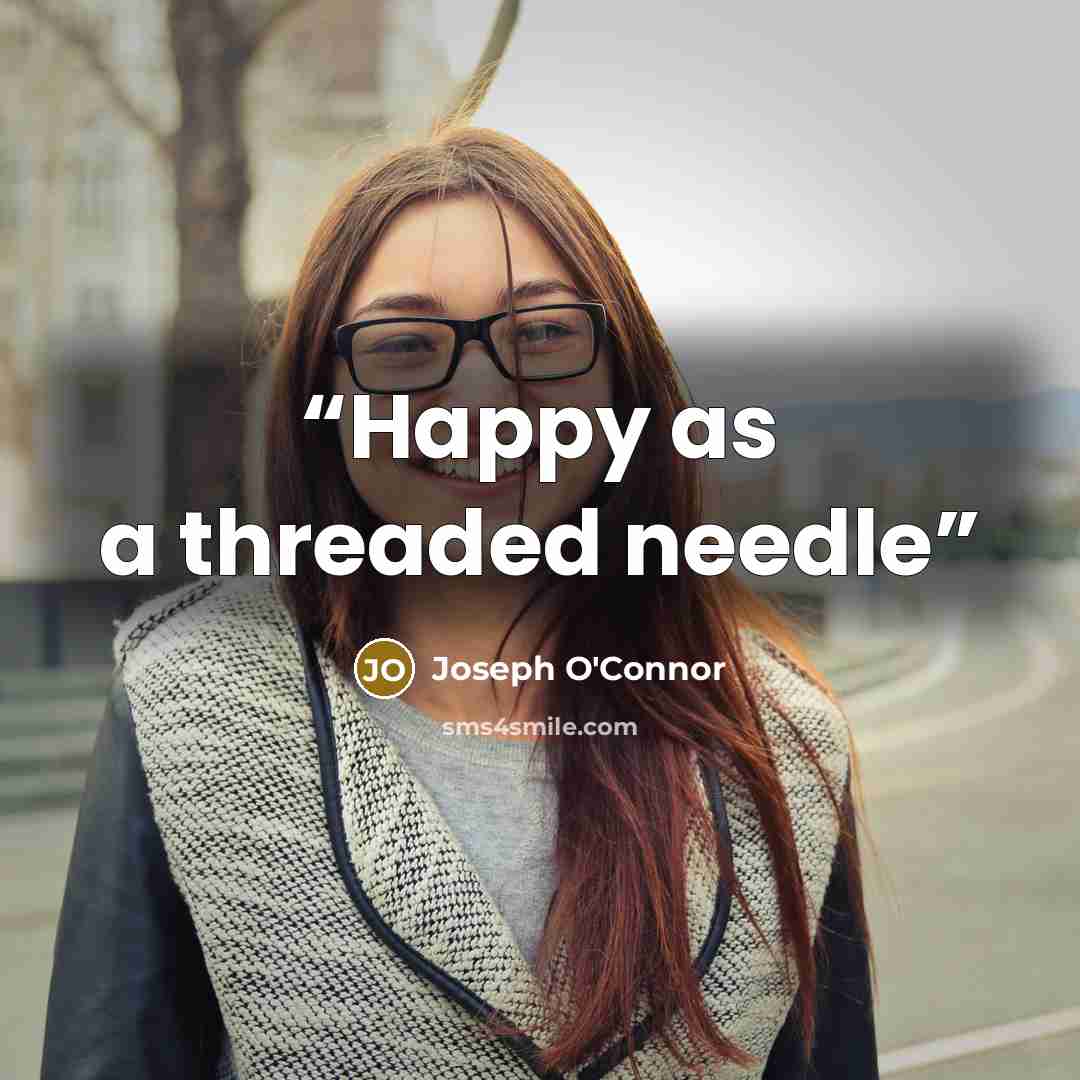 “Happy as a threaded needle” quote by Joseph O'Connor
