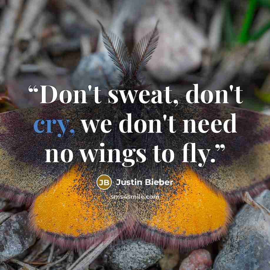 “Don't sweat, don't cry, we don't need no wings to fly.” quote by Justin Bieber