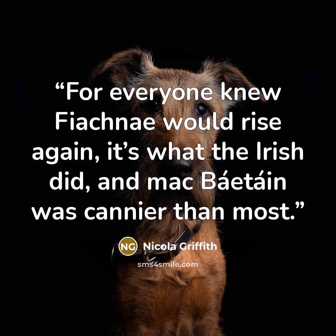 “For everyone knew Fiachnae would rise again, it’s what the Irish did, and mac Báetáin was cannier than most.” quote by Nicola Griffith
