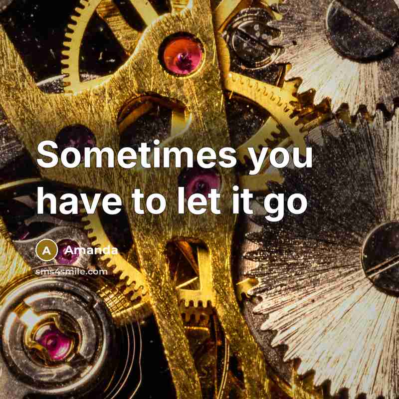 “Sometimes you have to let it go” quote by Amanda