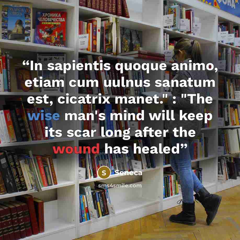 “In sapientis quoque animo, etiam cum uulnus sanatum est, cicatrix manet." : "The wise man's mind will keep its scar long after the wound has healed” quote by Seneca