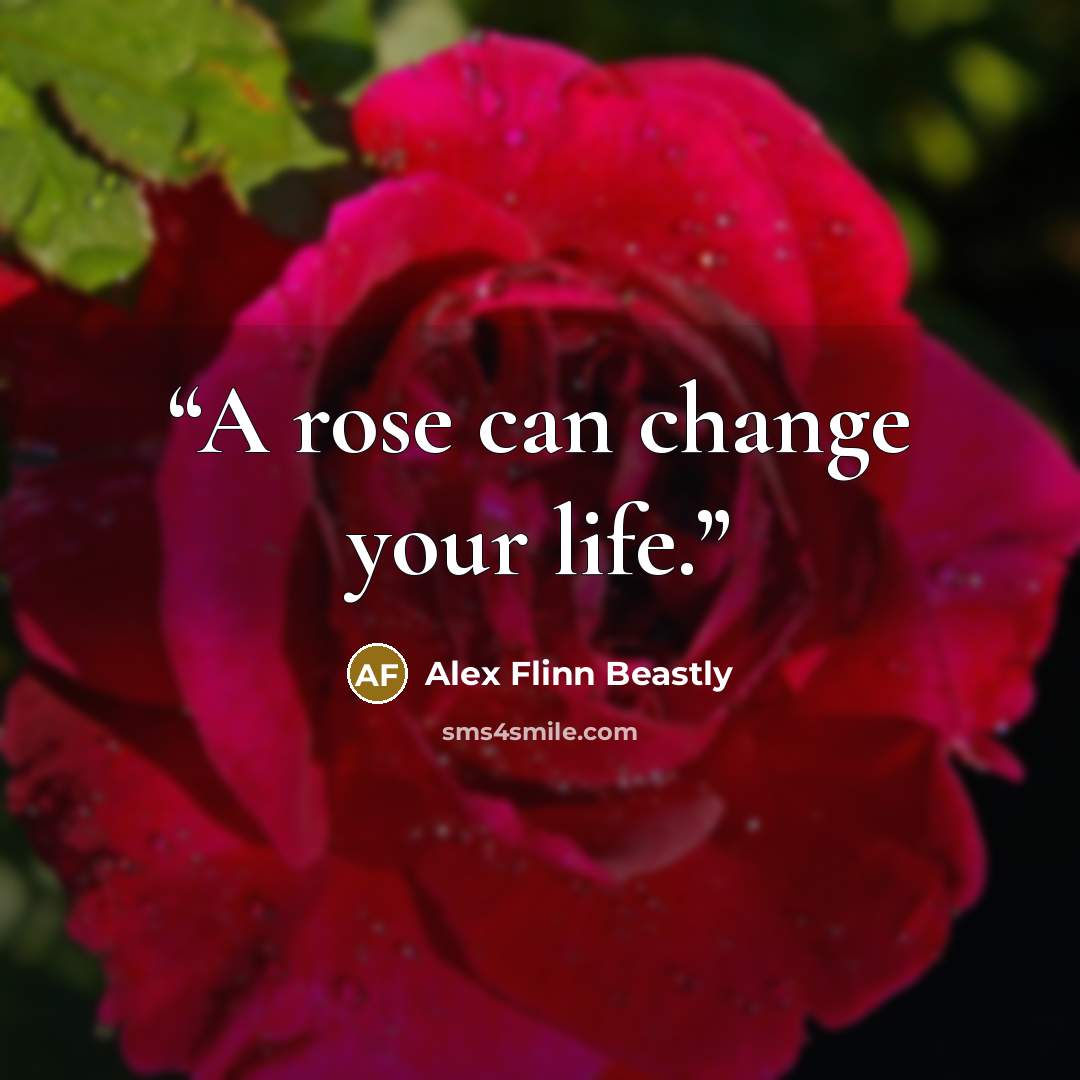 “A rose can change your life.” quote by Alex Flinn Beastly