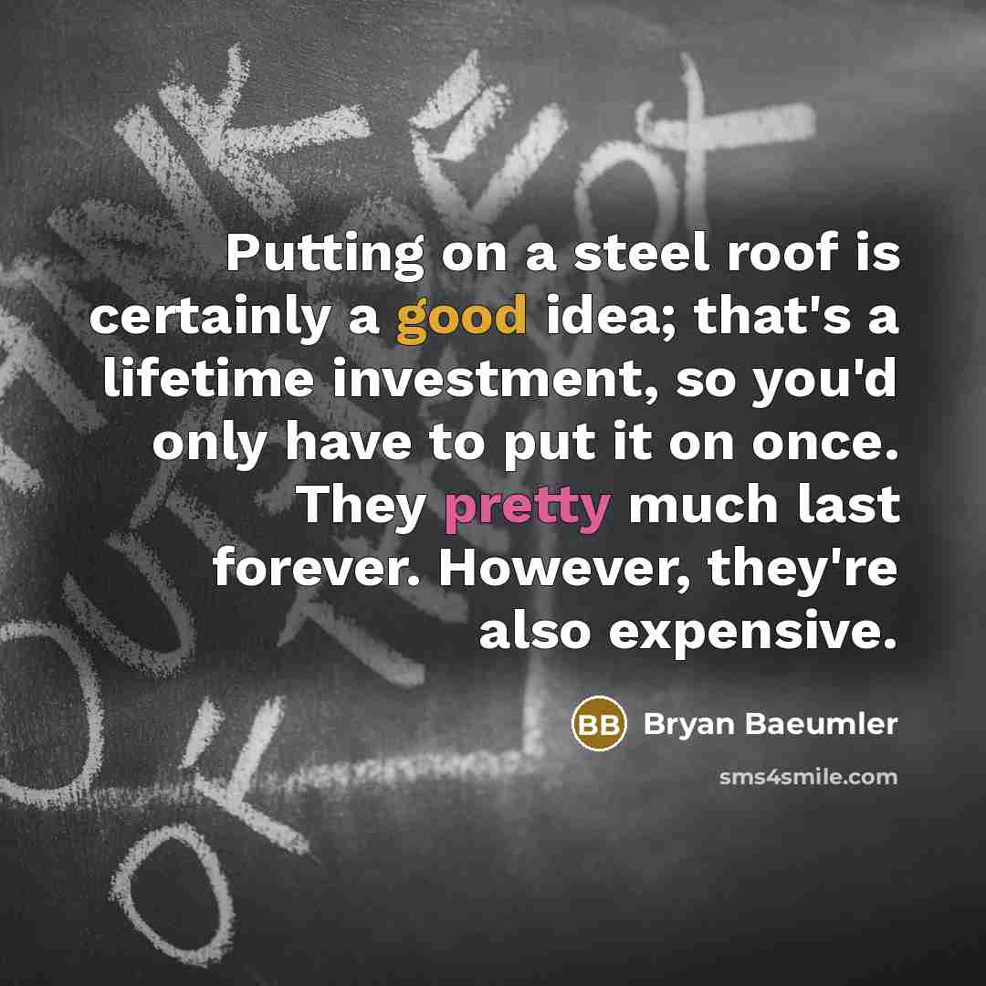 “Putting on a steel roof is certainly a good idea; that's a lifetime investment, so you'd only have to put it on once. They pretty much last forever. However, they're also expensive.” quote by Bryan Baeumler