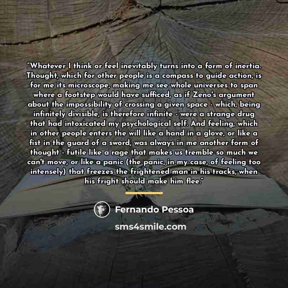 “Whatever I think or feel inevitably turns into a form of inertia. Thought, which for other people is a compass to guide action, is for me its microscope, making me see whole universes to span where a footstep would have sufficed, as if Zeno's argument about the impossibility of crossing a given…” quote by Fernando Pessoa