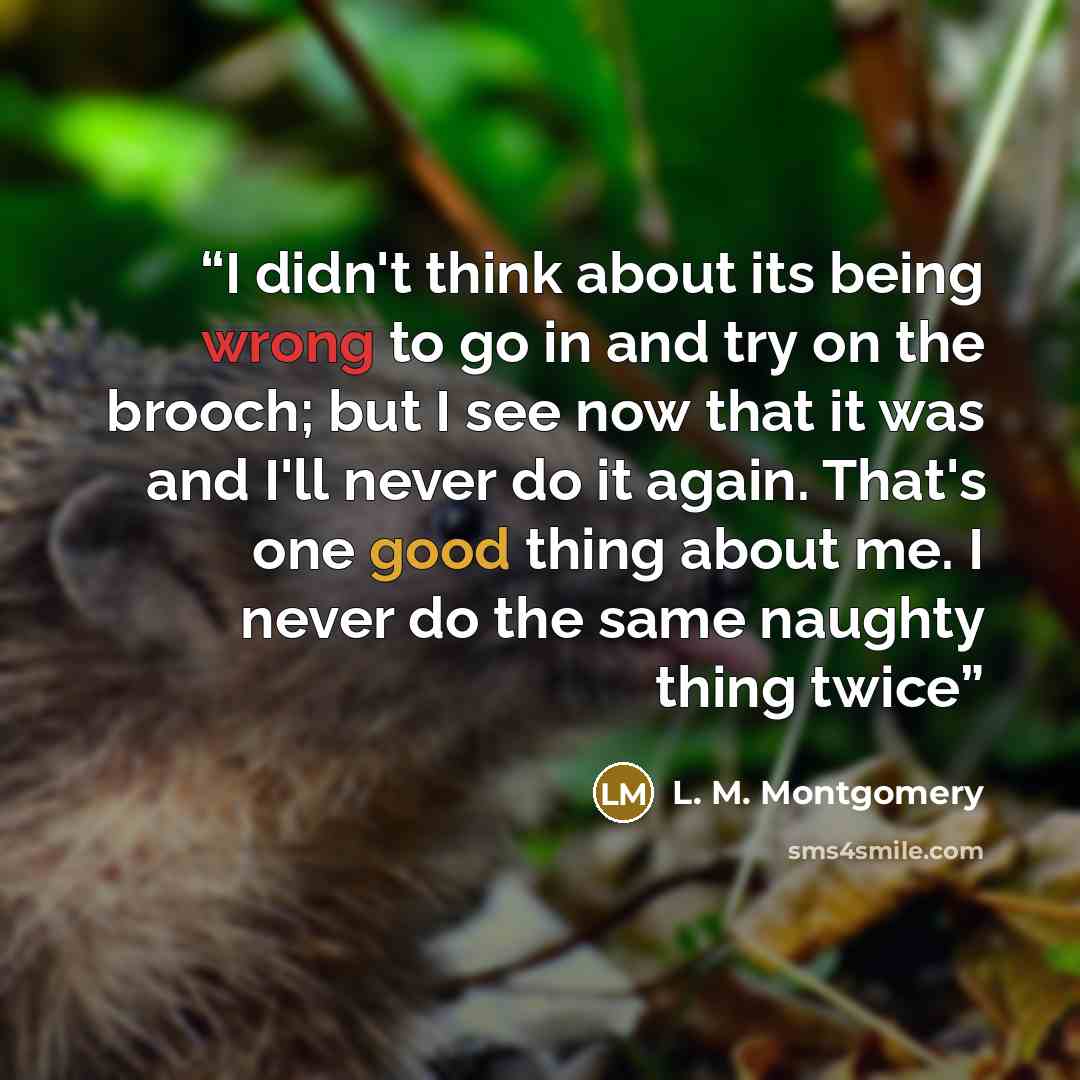 “I didn't think about its being wrong to go in and try on the brooch; but I see now that it was and I'll never do it again. That's one good thing about me. I never do the same naughty thing twice” quote by L. M. Montgomery
