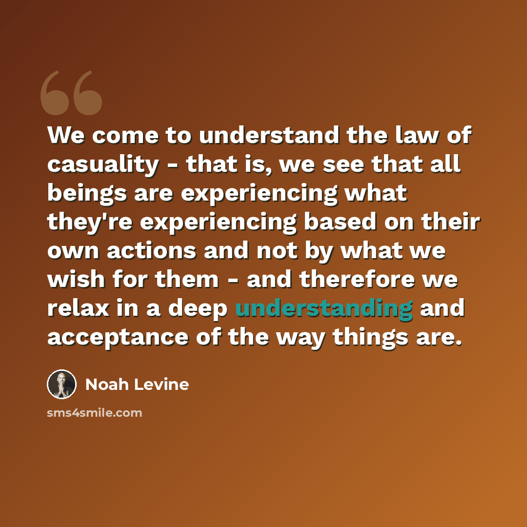 “We come to understand the law of casuality - that is, we see that all beings are experiencing what they're experiencing based on their own actions and not by what we wish for them - and therefore we relax in a deep understanding and acceptance of the way things are.” quote by Noah Levine