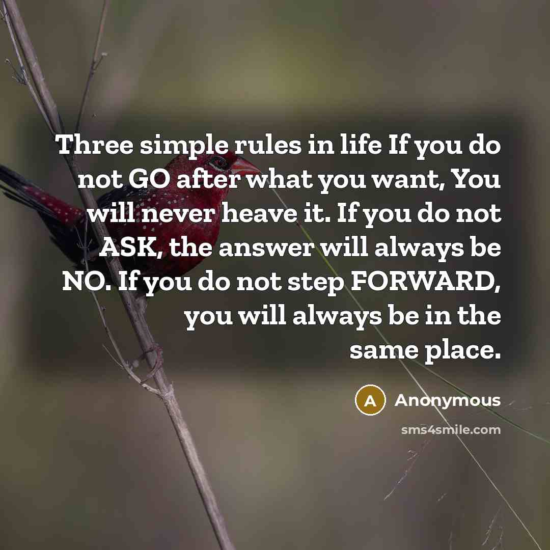 “Three simple rules in life If you do not GO after what you want, You will never heave it. If you do not ASK, the answer will always be NO. If you do not step FORWARD, you will always be in the same place.” quote by Anonymous