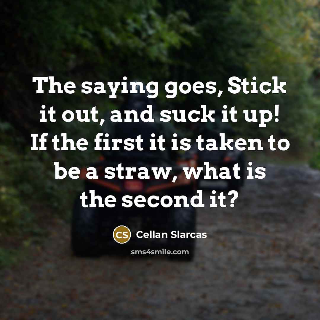 “The saying goes, Stick it out, and suck it up! If the first it is taken to be a straw, what is the second it?” quote by Cellan Slarcas