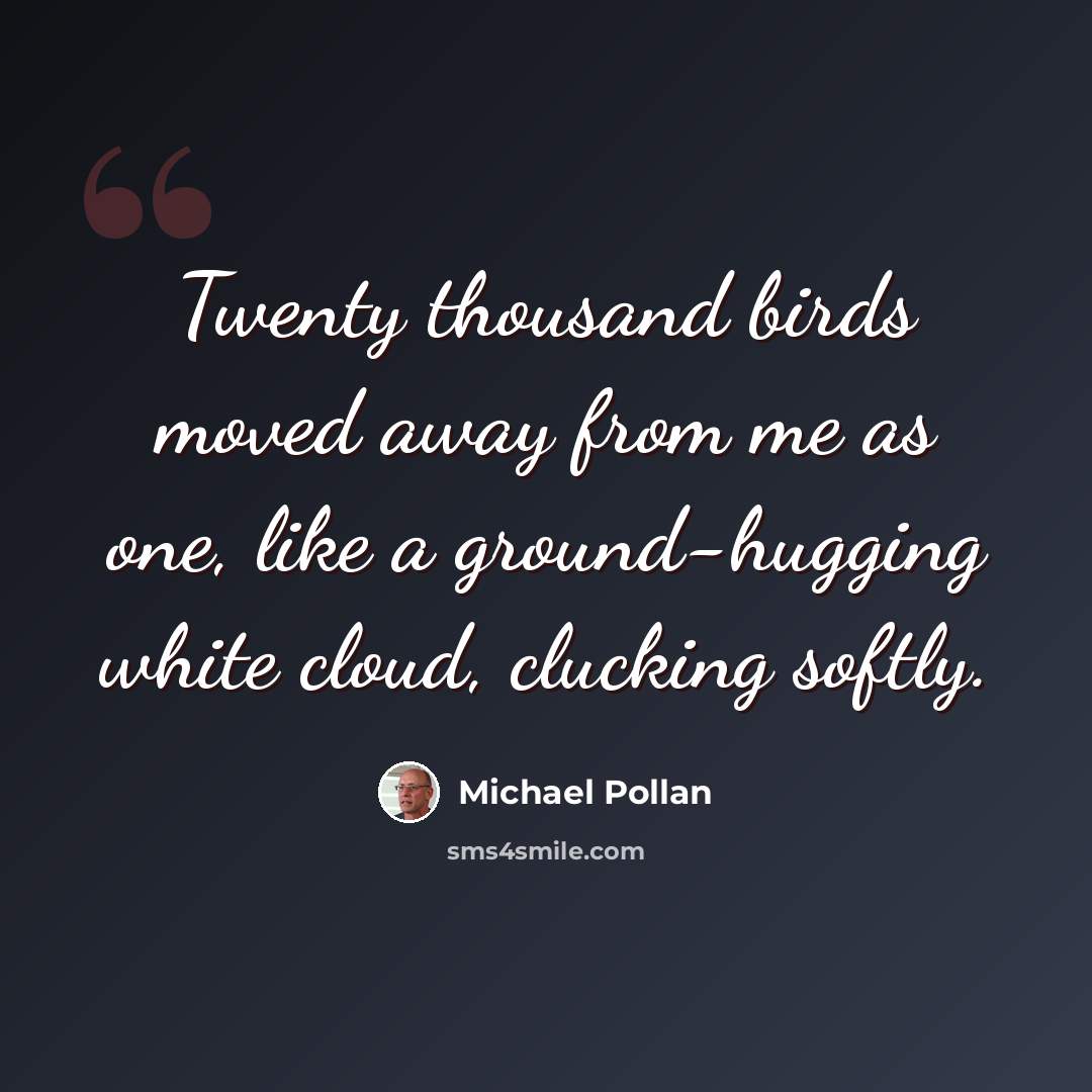 “Twenty thousand birds moved away from me as one, like a ground-hugging white cloud, clucking softly.” quote by Michael Pollan