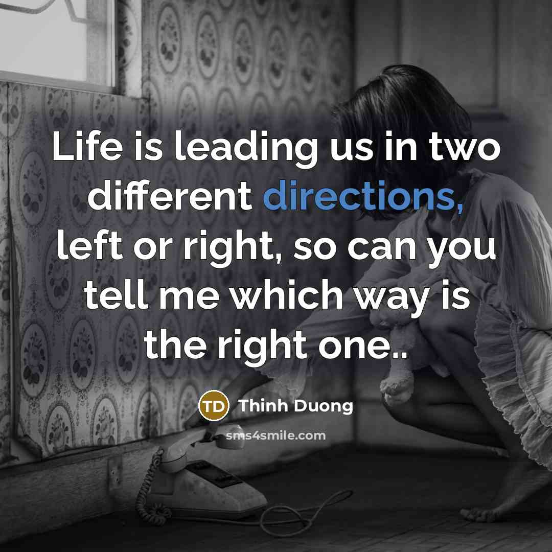 “Life is leading us in two different directions, left or right, so can you tell me which way is the right one..” quote by Thinh Duong